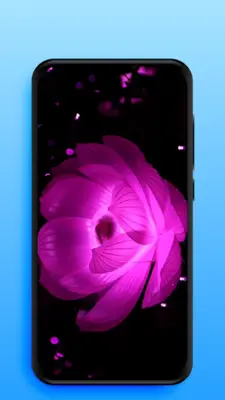 Video Live Wallpapers android App screenshot 6